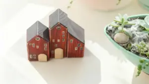 Vasetto decorativo con piante grasse e sassi su un tavolo luminoso