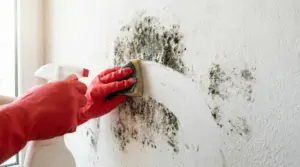 Persona che pulisce muffa da un muro bianco con guanti rossi e una spugna