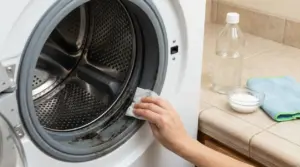 Mano che pulisce la guarnizione della lavatrice con muffa visibile