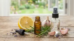 Ingredienti naturali come limone, aglio e oli essenziali su un tavolo con alcune zanzare in volo