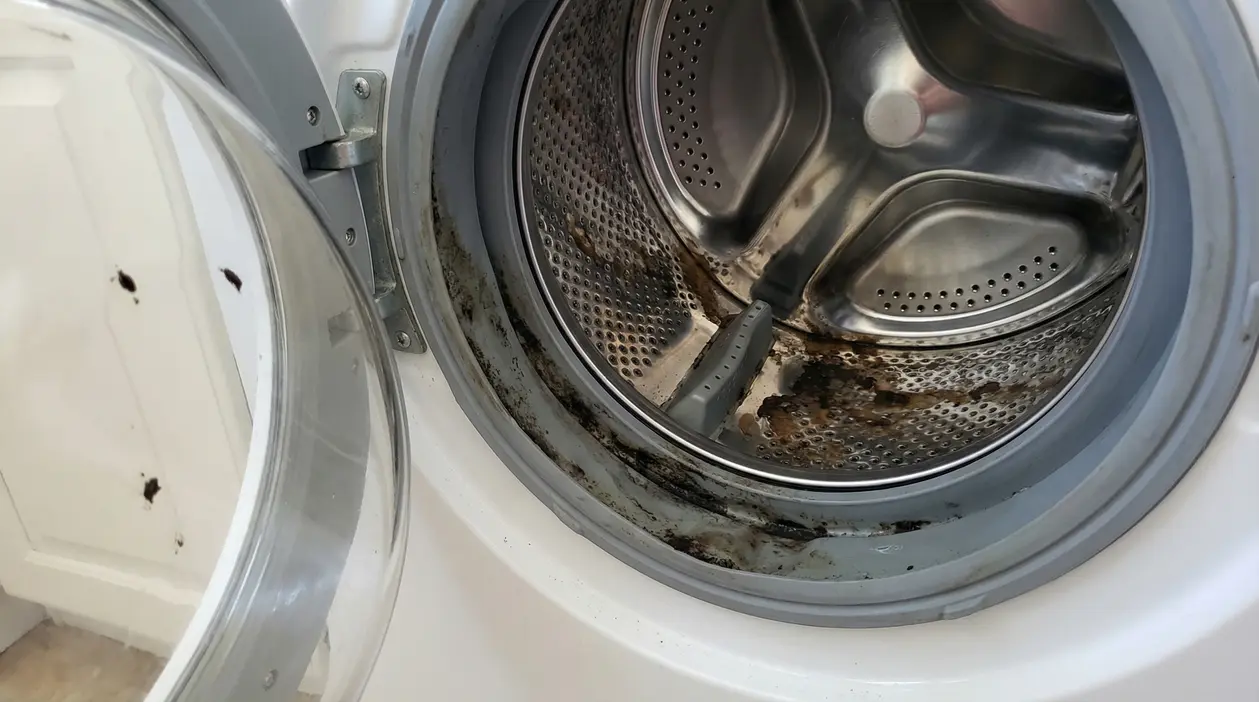Interno di una lavatrice con evidenti segni di muffa e sporco nel cestello e nella guarnizione