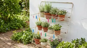 Vecchio stendino riutilizzato come supporto per vasi di piante aromatiche in un giardino